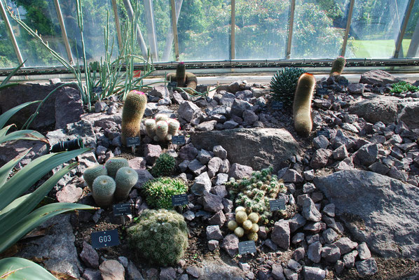 Schottland, Edinburgh, Botanischer Garten