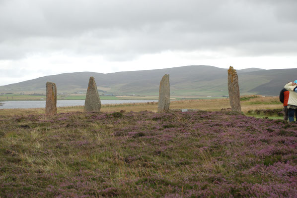 Schottland, Orkney Insel, Ring of Brodgar