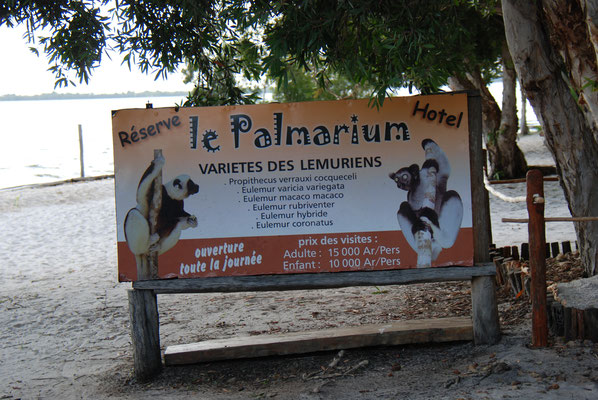 Madagaskar, Akanin ny Nofy, Besuch des Reservates Palmarium 