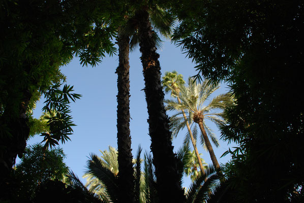 Marokko, Marrakesch, Besuch der Majorelle Gärten