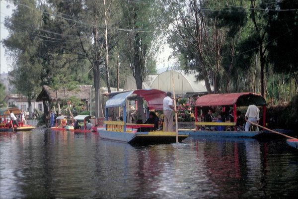 Mexiko, Mexiko-City, Schwimmende Gärten von Xochimilco