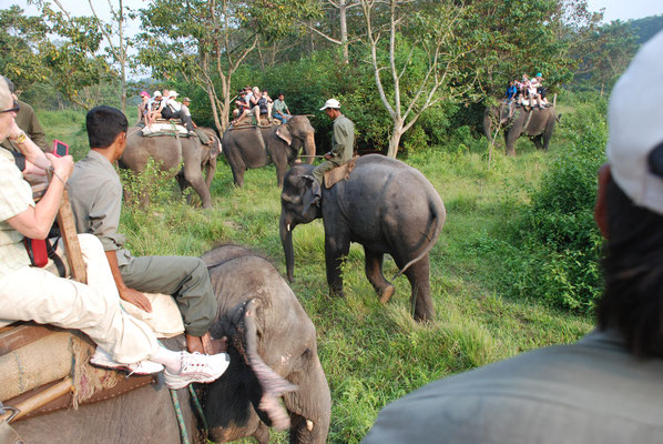 Nepal, Elefantensafari im Chitwan Nationalpark
