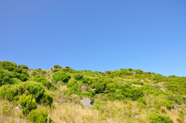 Madeira, Wanderung zum Vereda do Pico Ruivo