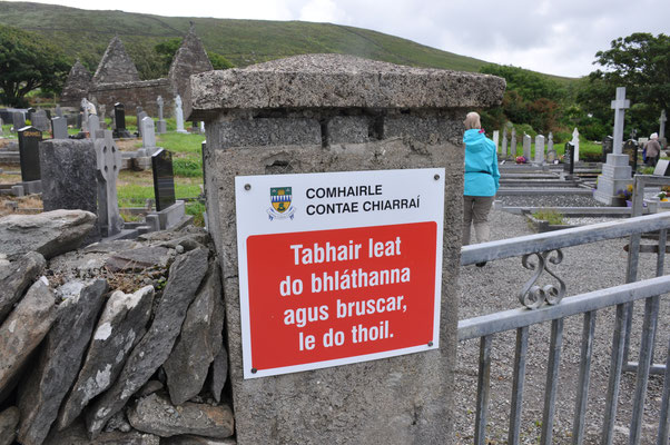 Irland, Halbinsel Dingle, Kirche von Kilmalkedar mit keltischen Oghamschriftstelen