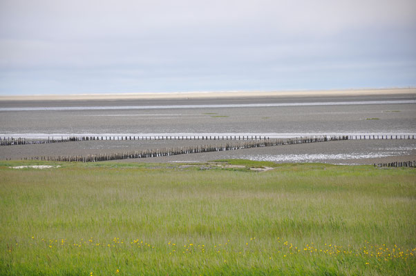 Dänemark, Wattenmeer, Insel Mando