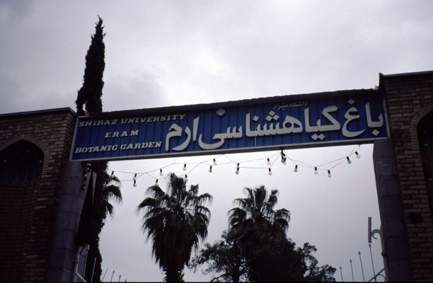 Iran, Shiraz,