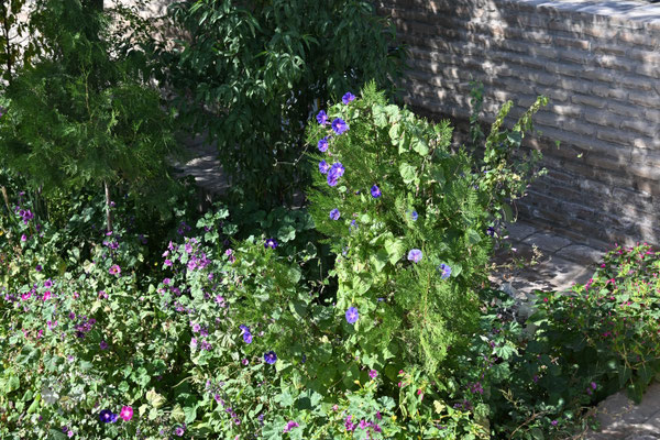 Turkmenistan, Konya Urgench, Ruinen der alten choresmischen Hauptstadt Gurgandsch