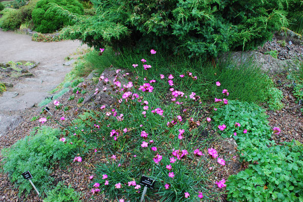 Schottland, Edinburgh, Botanischer Garten