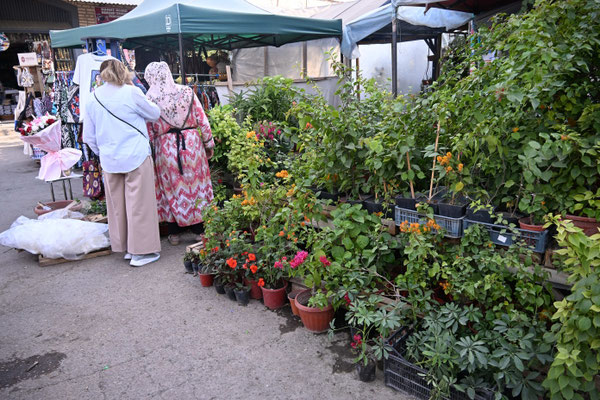 Usbekistan, Taschkent, Basar