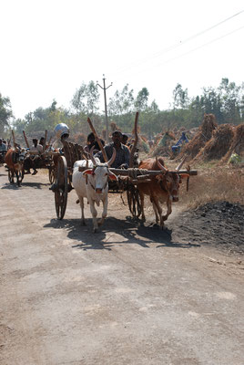 Indien,  Ochsenkarren 