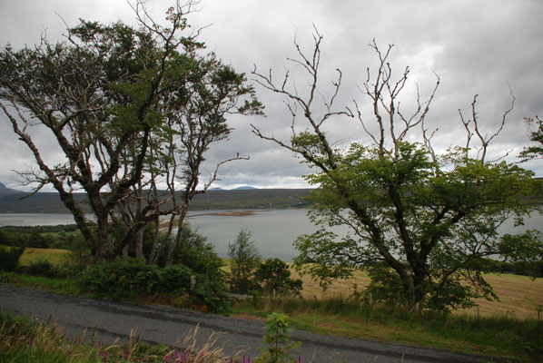 Schottland, John O Groats, Wanderung zum Duncansby Head mit Brutkolonien