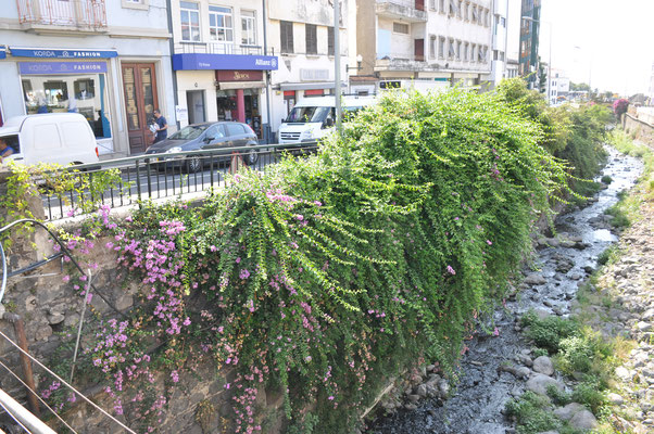 Madeira, Funchal