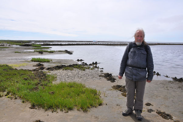 Dänemark, Wattenmeer, Insel Mando