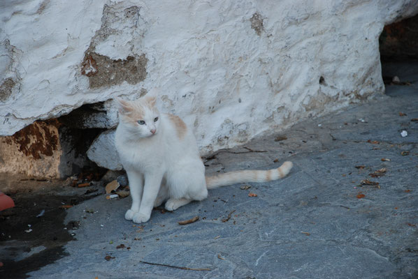 Griechenland: Insel Naxos, Naxos-Stadt, Besuch der venezianischen Oberstadt, Festung mit katholischer Kirche