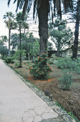 Malta, San Anton Garten