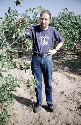 Iran, Mandelbaumplantage