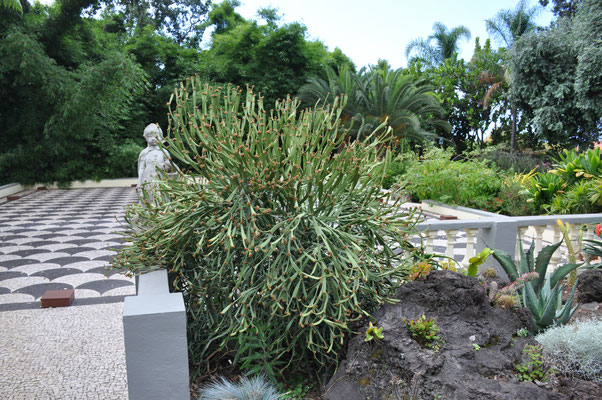 Madeira, Funchal, Villa Quitas das Cruzas, Jardins do Lago