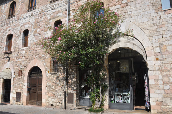 Italien, Assisi