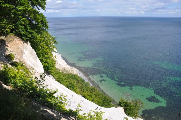 Dänemark, Insel Mon, Große Klippe. Schneeweiße Kreidefelsen