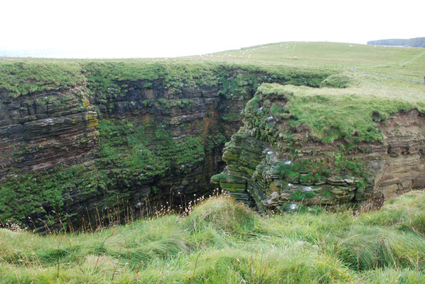 Schottland, John O Groats, Wanderung zum Duncansby Head mit Brutkolonien