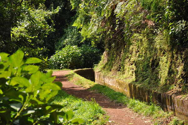 Madeira, Wanderung Levada da Reibeira da Janela