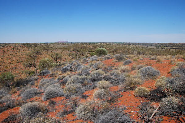 Im australischen Outback, nähe der drei Olgas