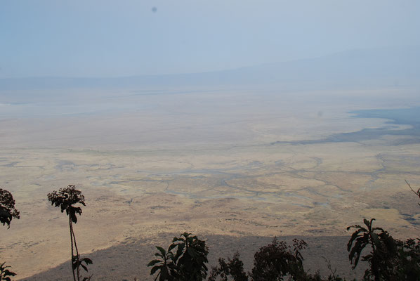 Ngorongoro Krater 