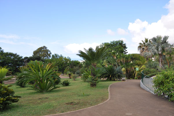 Madeira, Funchal, Botanischer Garten