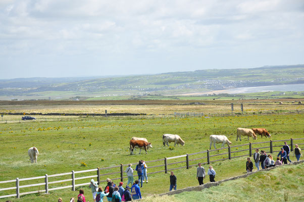 Irland, Cliffs of Moher