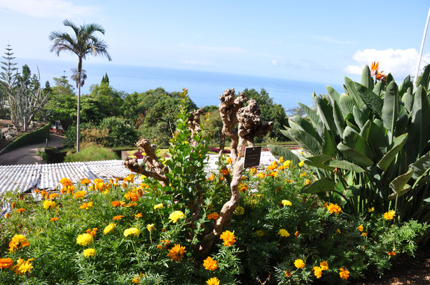 Madeira, Funchal, Botanischer Garten