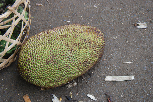 Madagaskar, Jackfrucht 