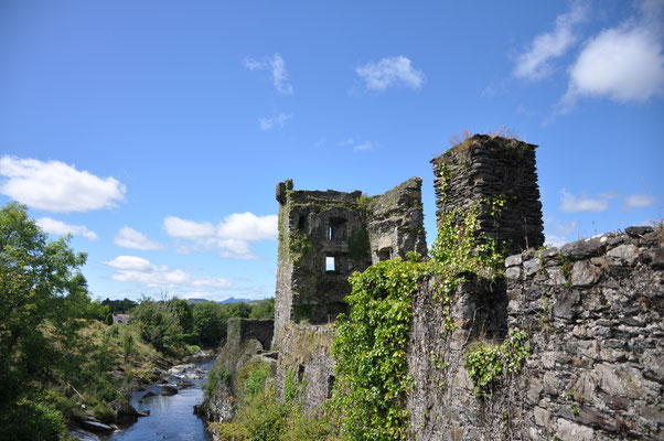Irland, Carriganase Castle