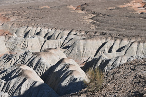 Turkmenistan, Janghy Kala
