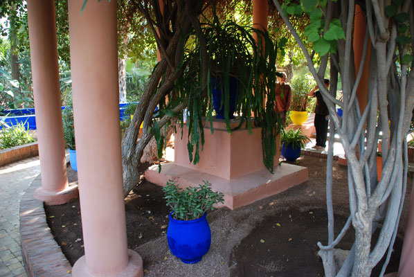 Marokko, Marrakesch, Besuch der Majorelle Gärten