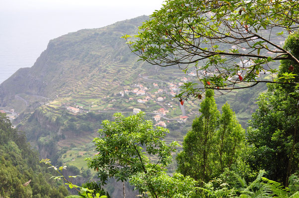 Madeira, Wanderung Levada da Reibeira da Janela