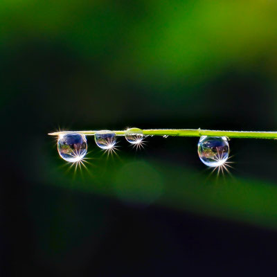 Bild 1: Raindrops