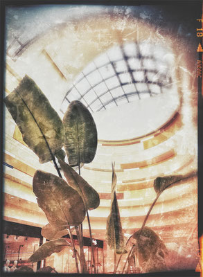 Bild 11: Natur im EKZ