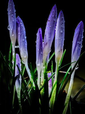 Bild 5: Spring in sight
