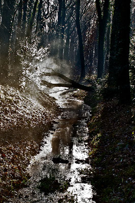 Bild 4: Herbst
