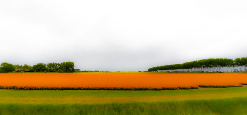 Bild 10: weiches Feld