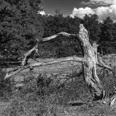 Bild 4: Es war einmal...