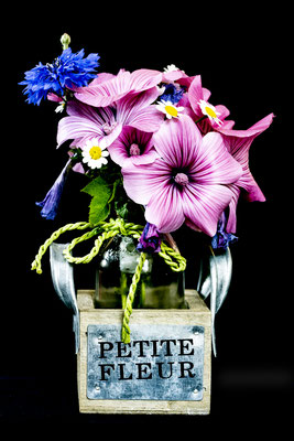 Bild 5: Petite Fleur