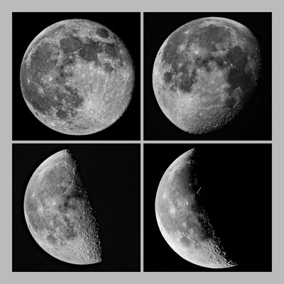 Bild 1: Moonlight