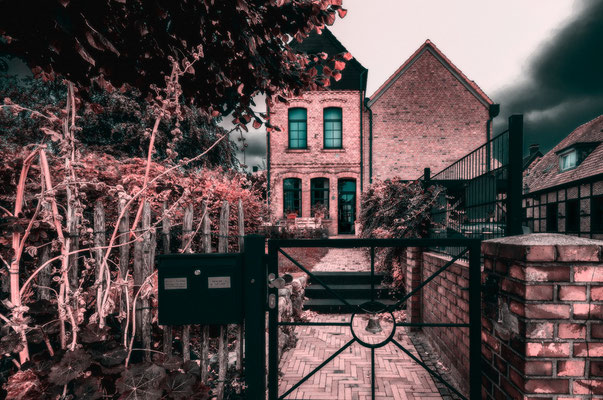 Bild 07: Verwunschen