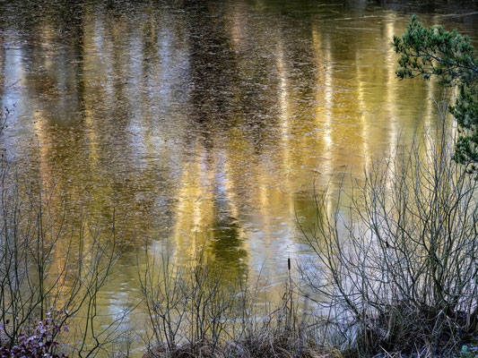 Bild 9: Goldenes Licht auf dem Eis