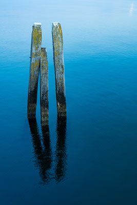 Bild 3: Holz im Wasser