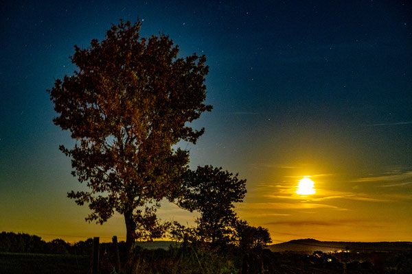 Bild 11: Vollmond beim Martinszug