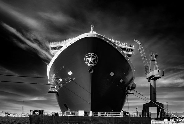 Bild 3: Carnival Jubilee Texas