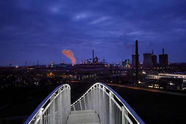 Bild 1 - Behind tiger and turtle