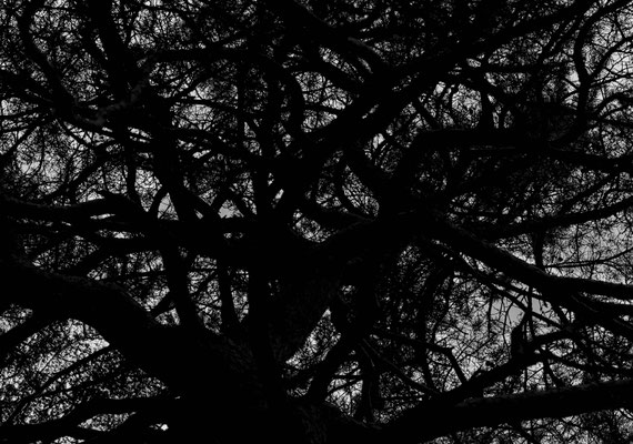 Bild 6: Kreuz und quer